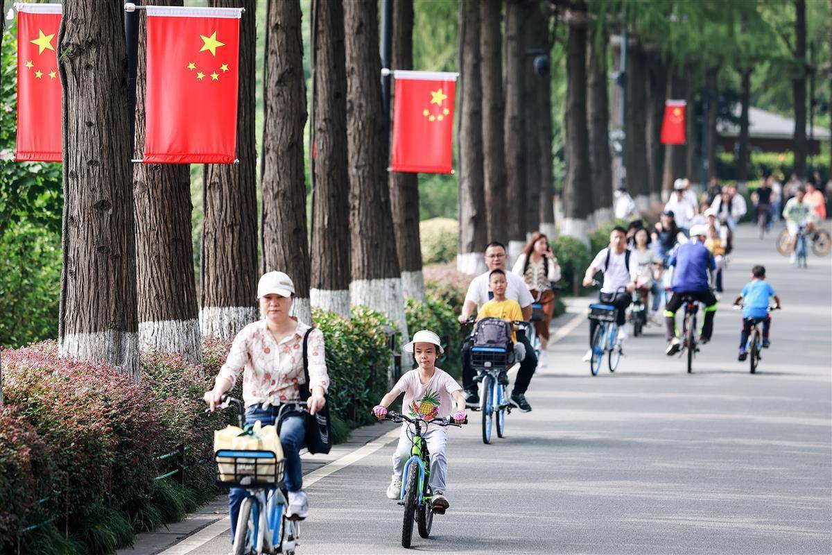 mg登录中心